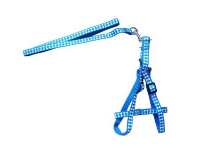 COLLAR CON PECHERO DE HUESOS PARA PERROS Y GATOS (PEQUEÑOS) - Imagen 6