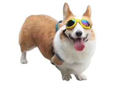 GAFAS PARA PERROS - Imagen 4
