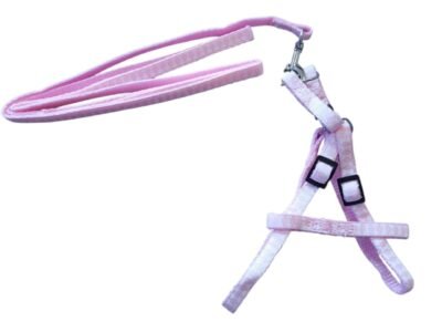 COLLAR CON PECHERO DE HUESOS PARA PERROS Y GATOS (PEQUEÑOS) - Imagen 4
