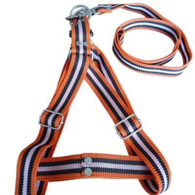 COLLAR CON PECHERA PARA PERRO "XL"