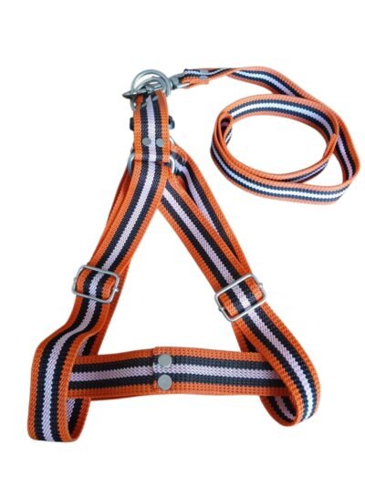 COLLAR CON PECHERA PARA PERRO "XL"