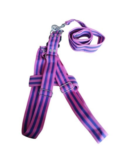 COLLAR CON PECHERA PARA PERRO "XL" - Imagen 2