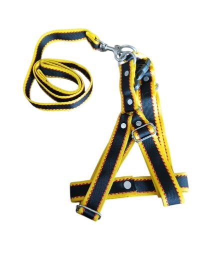 COLLAR CON PECHERA PARA PERRO "M" - Imagen 2