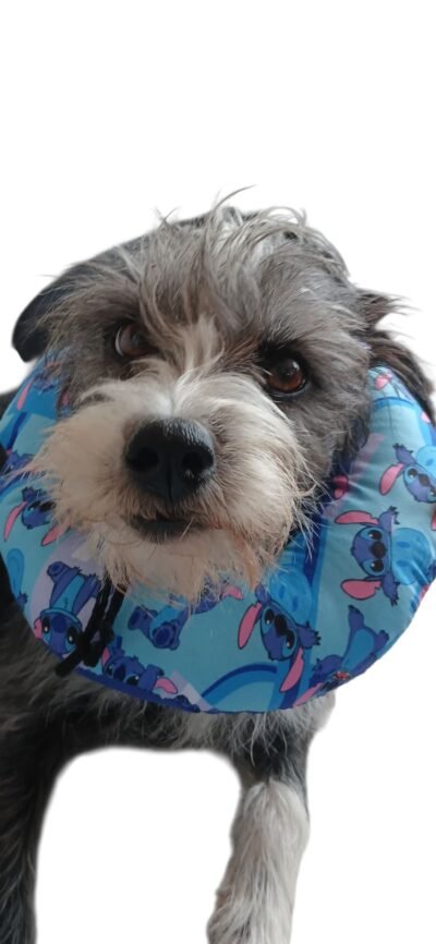 DONAS PARA PERRO TALLA "XS" CON CREMALLERA - Imagen 3