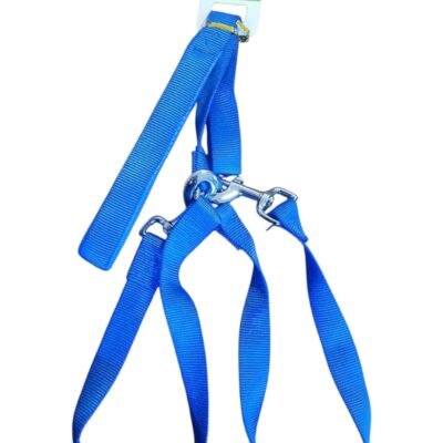 COLLAR PREMIUM PARA PERROS (MEDIANO, GRANDE)