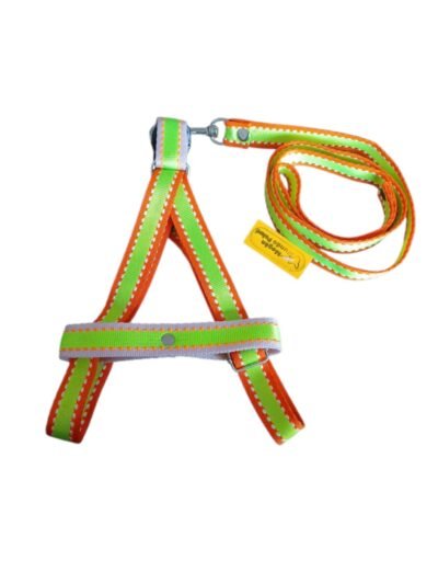 COLLAR CON PECHERA PARA PERRO "M" - Imagen 4