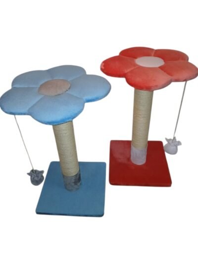 GIMNASIO DE UNA FLOR - Imagen 3