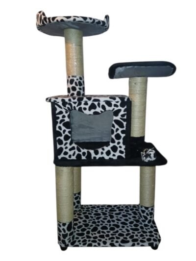 GIMNASIO CUEVA