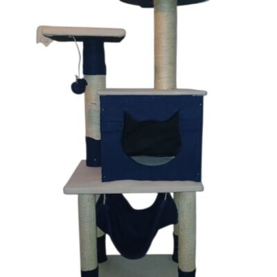 GIMNASIO GATOS