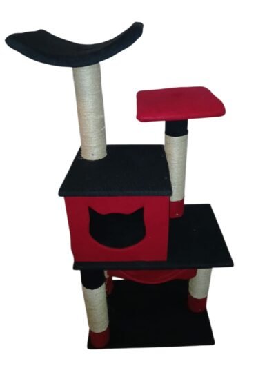GIMNASIO GATOS - Imagen 2