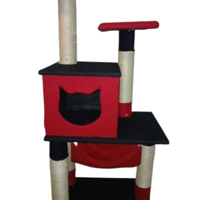 GIMNASIO GATOS