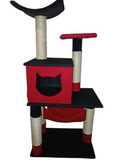 GIMNASIO GATOS