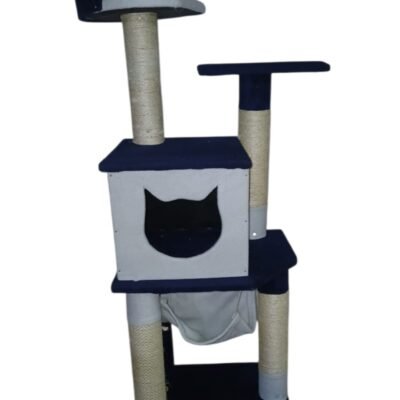 GIMNASIO GATOS