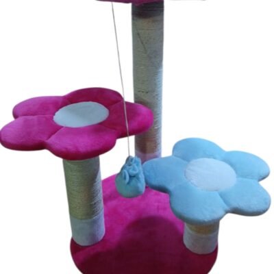 GIMNASIO DE TRES FLORES