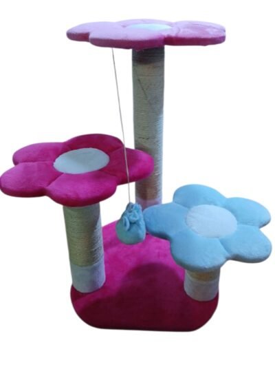 GIMNASIO DE TRES FLORES