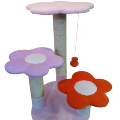 GIMNASIO DE TRES FLORES