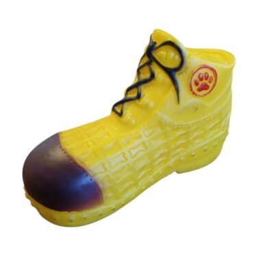 ZAPATO CHILLON