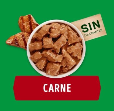 DOG CHOW ADULTOS "CARNE" 100 Gr - Imagen 2
