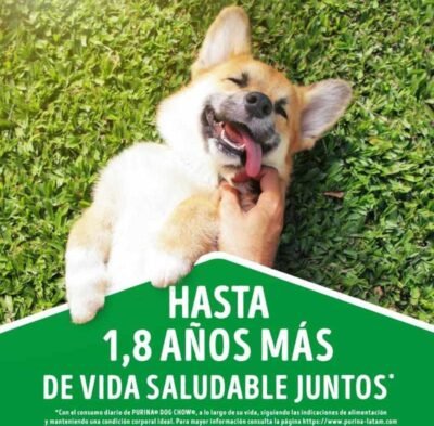 DOG CHOW ADULTOS MINIS Y PEQUEÑOS "CORDERO" 100 Gr - Imagen 2