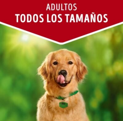DOG CHOW ADULTOS "CARNE" 100 Gr - Imagen 3