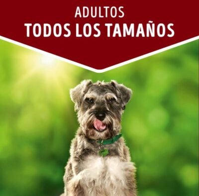 DOG CHOW ADULTOS "CORDERO" 100 Gr - Imagen 3