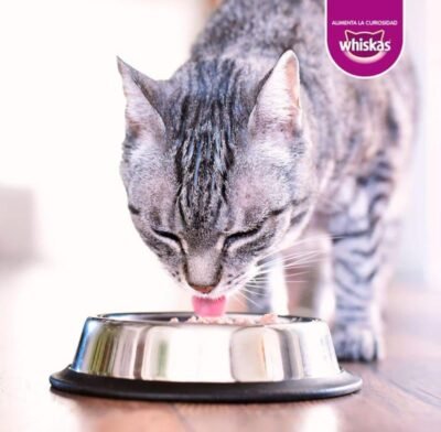 WHISKAS ADULTOS "RES" 85 Gr - Imagen 3