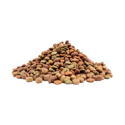 DOG CHOW ADULTOS "MEDIANOS Y GRANDES"