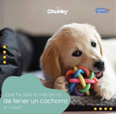 CHUNKY CACHORROS "POLLO" - Imagen 2