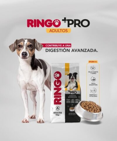 RINGO ADULTOS "PRO" - Imagen 2