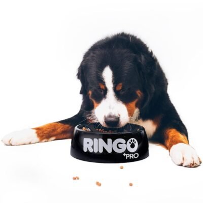 RINGO ADULTOS "PRO" - Imagen 3