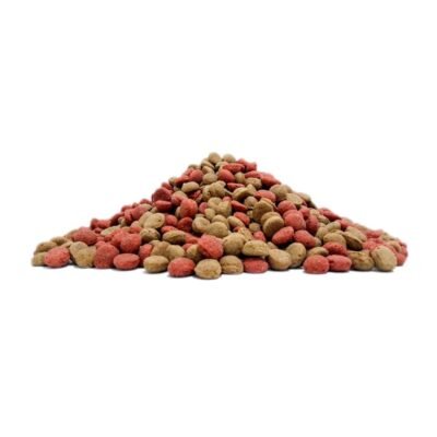 DOGOURMET CACHORROS 1LB