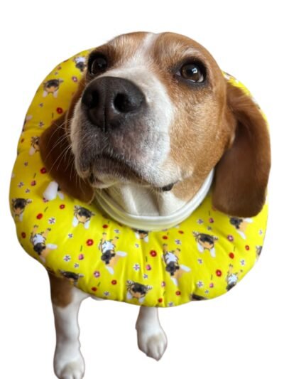 DONAS PARA PERRO TALLA "L" - Imagen 3