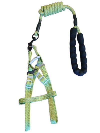 COLLAR CON PECHERA PARA PERROS (MEDIANO, GRANDE) - Imagen 2