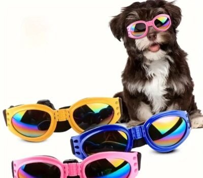GAFAS PARA PERROS
