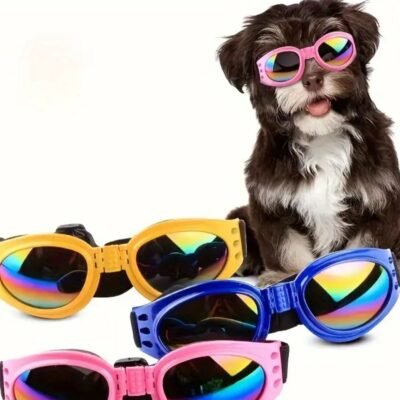 GAFAS PARA PERROS