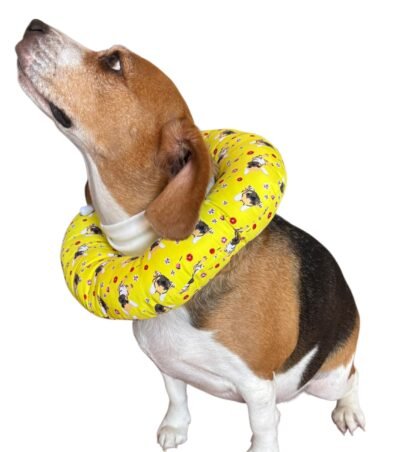 DONAS PARA PERRO TALLA "L" - Imagen 4